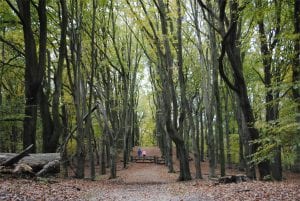 Wandelpad landgoed Heuven