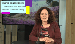 Veluwecongres