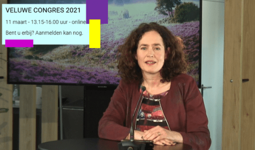 Veluwecongres