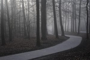 Fietspad Speulderbos