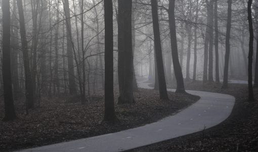 Fietspad Speulderbos